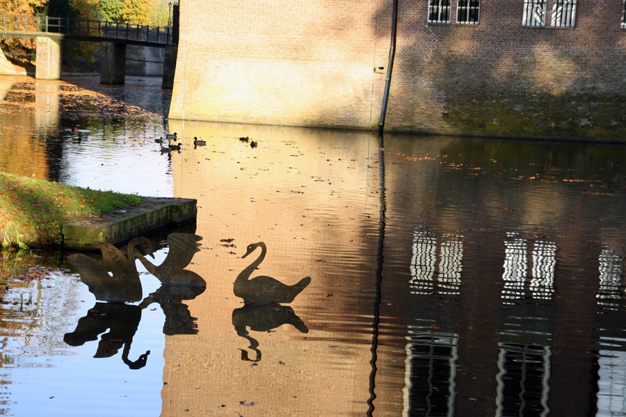 Zwanen staal gracht Amerongen