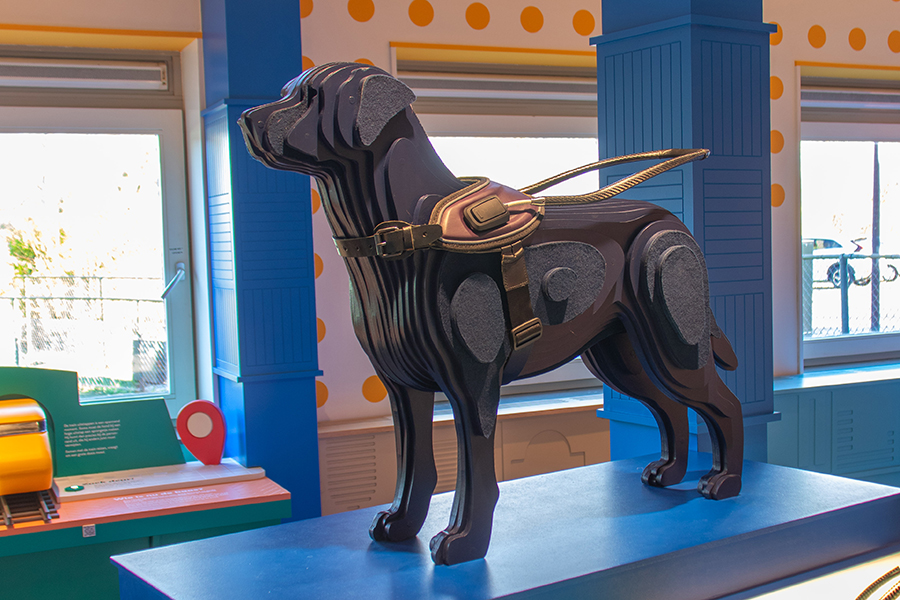 Detail parcours geleidehond expérience