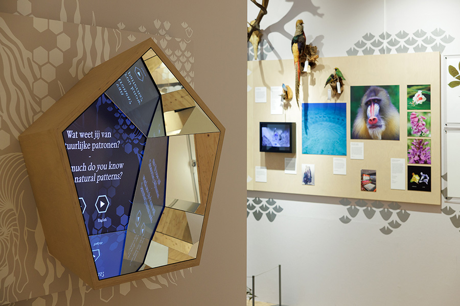 Spiegel en achterwand