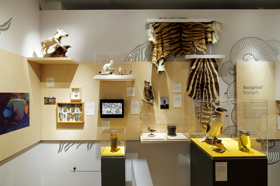 Tentoonstellingsoverzicht