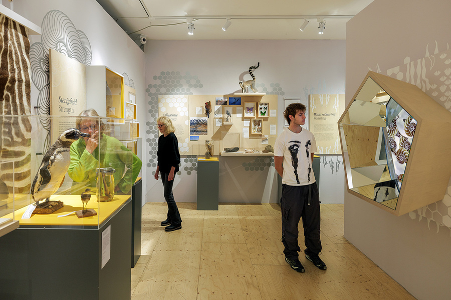 Stippen, Strepen & Spiralen - Natuurhistorisch Museum Rotterdam